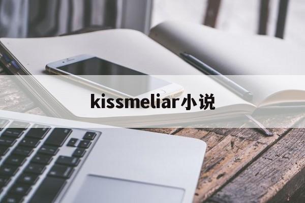 kissmeliar小说(kiss me liar有小说吗)